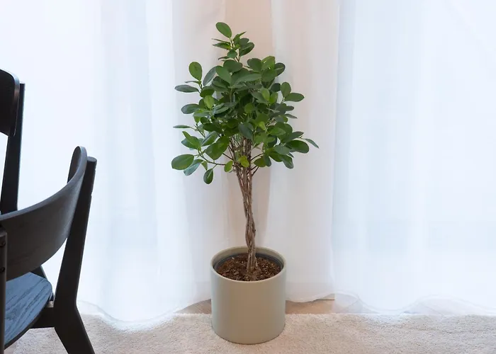 Volta Loft Таллин